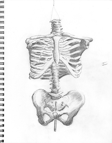 Skeleton 1 (class assignment).